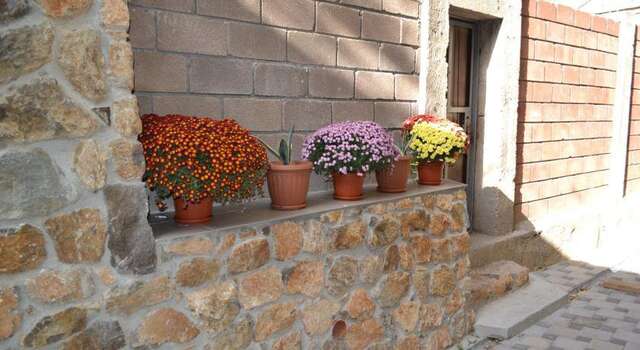 Гостиница Sg Hostel Ялта-5